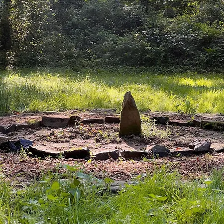 Bed & Breakfast Les Trois Fenetres Beauficel